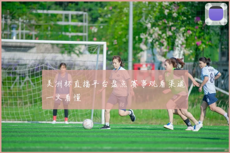 美洲杯直播平台盘点 赛事观看渠道一文看懂