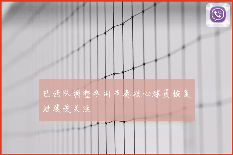 巴西队调整冬训节奏核心球员恢复进展受关注