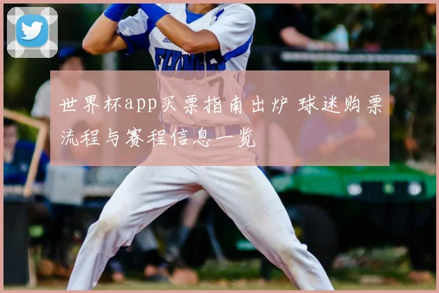 世界杯app买票指南出炉 球迷购票流程与赛程信息一览